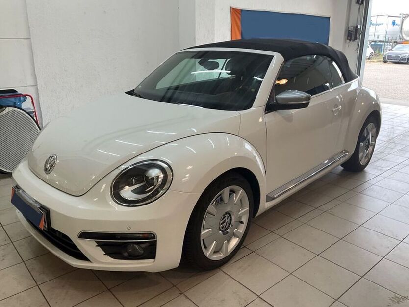 Beetle