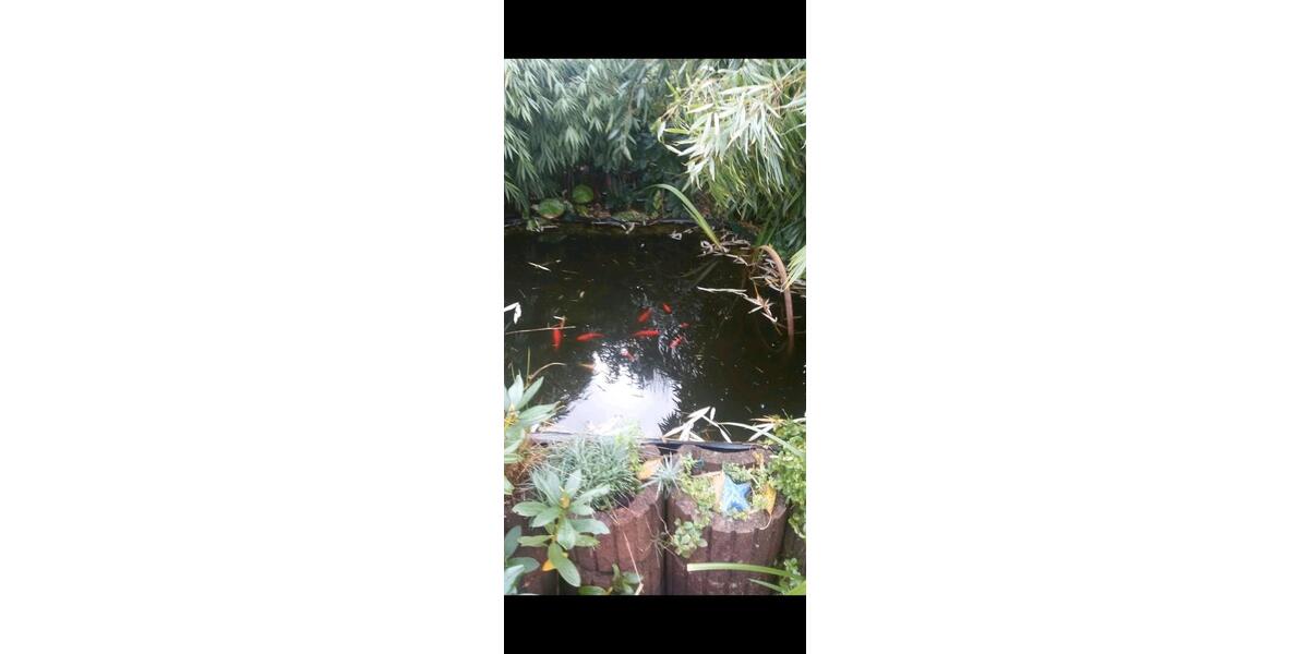 Grundstück Schloß Holte-Stukenbrock Stukenbrock - 6.000&euro; | Angebot:23742555