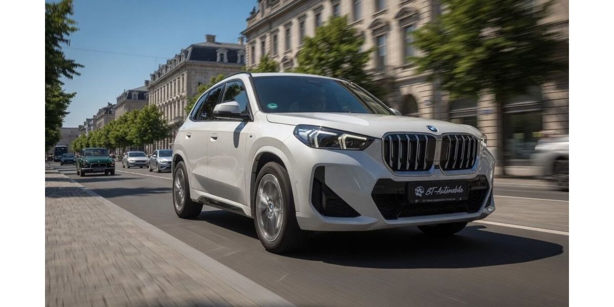 BMW X1 27.000 km 40.700 &euro; Bischofsheim 65474