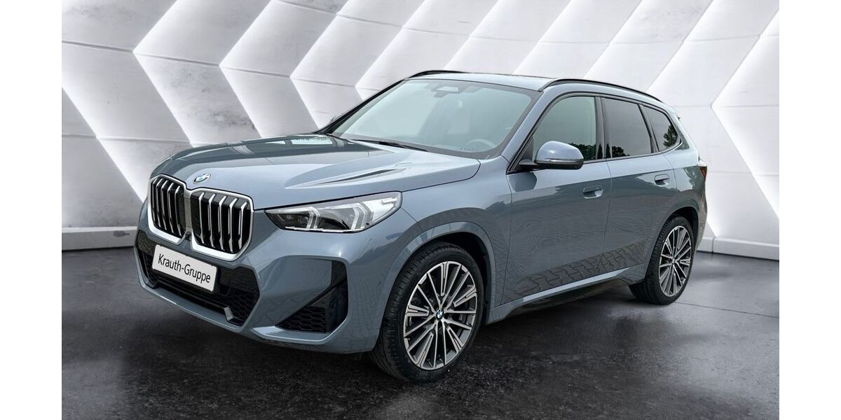 BMW X1 25.900 km 53.990 &euro; Hockenheim 68766