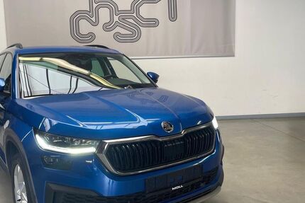 Skoda Kodiaq 203.579 km 20.890 &euro; Maintal bei Frankfurt am Main 63477