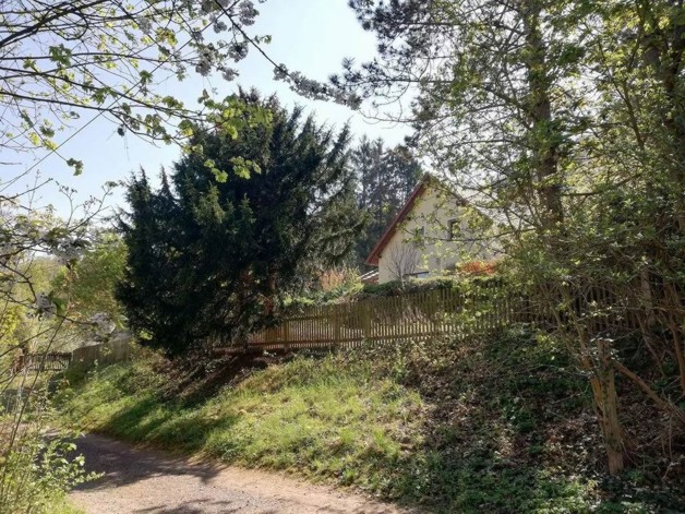 Barrierearmes Haus mit Panoramablick und Alleinlagecharakter - Einfamilienhaus Sondershausen | Angebot:26089971