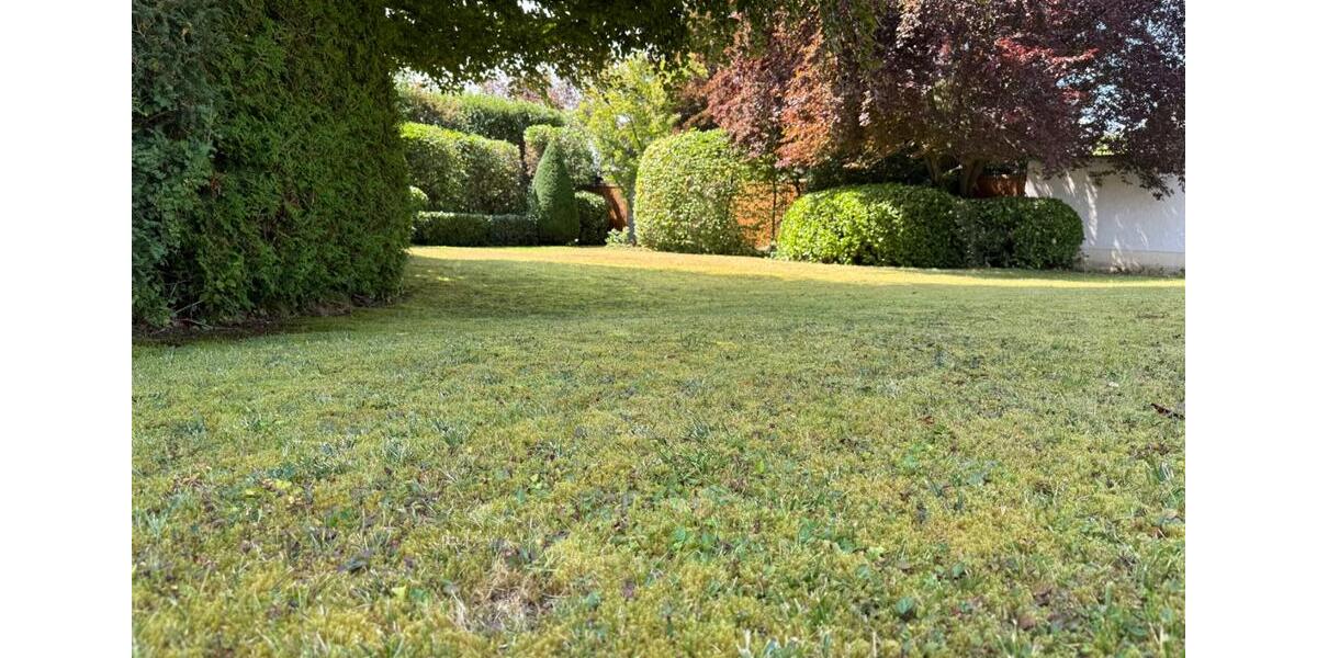 Villa Wehrheim - 7 Zimmer, 300 m&sup2;, 4.000&euro; | Angebot:24768049