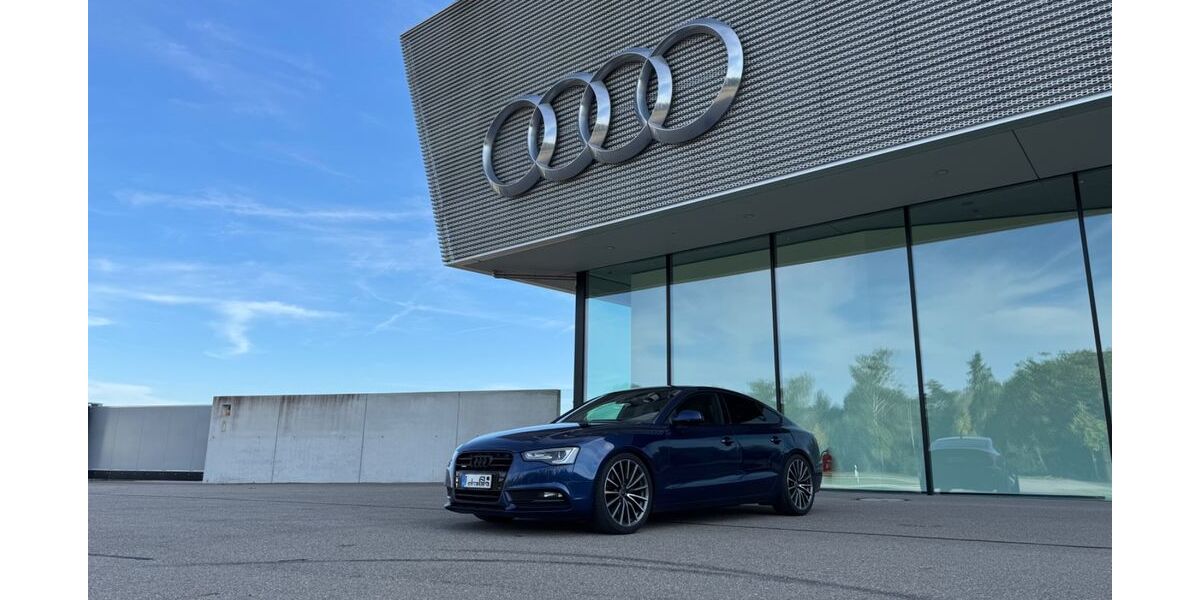 Audi A5 225.500 km 13.500 &euro; Neuburg 86633