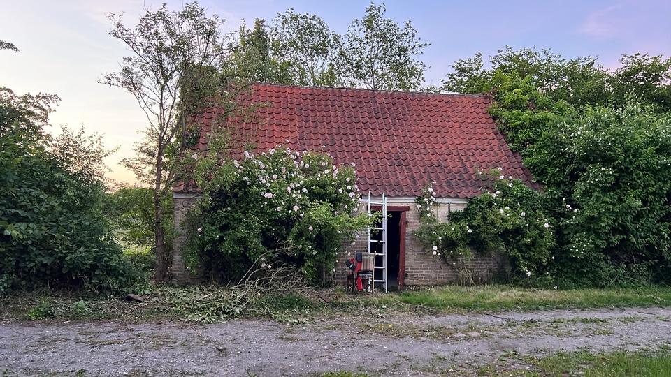 Bauernhaus, Landhaus Harrislee - 7 Zimmer, 235 m&sup2;, 208.000&euro; | Angebot:26690761