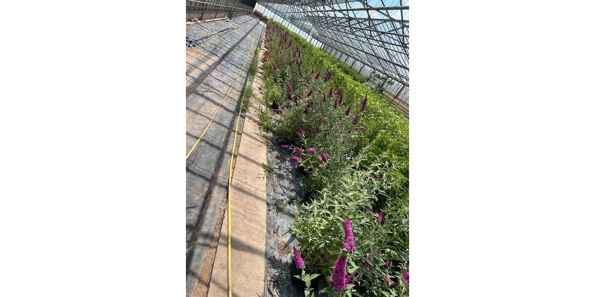 Gewerbeobjekt Obertshausen - 2&euro; | Angebot:20110778