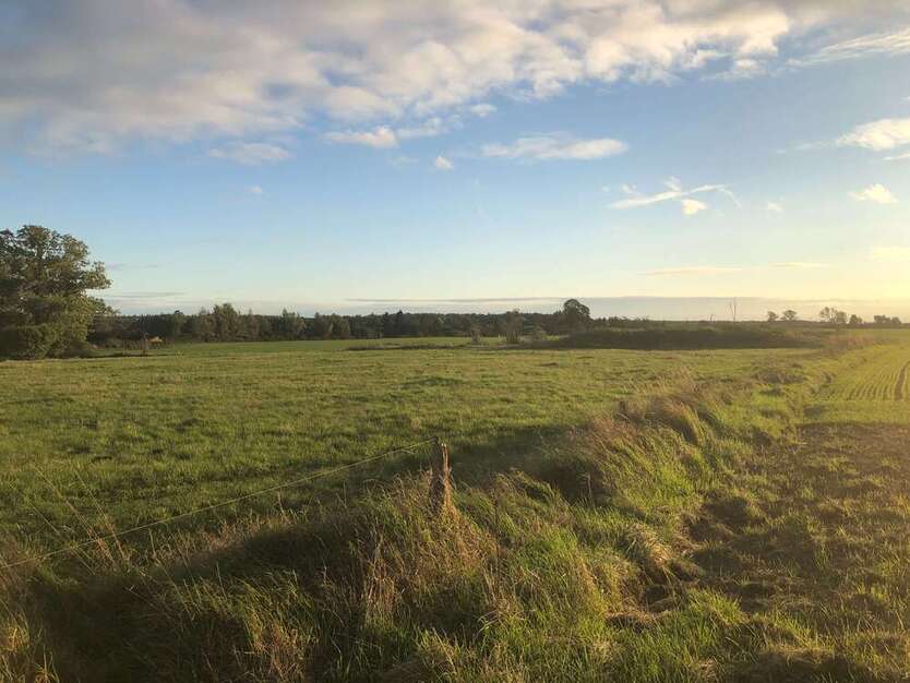 Grundstück zu verkaufen in Marlow 102.480 € 915 m² zimmer