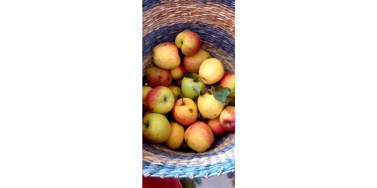 Garten in Lütten klein zimmer