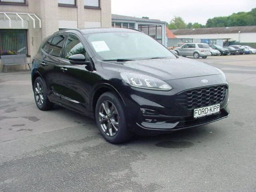 Kuga