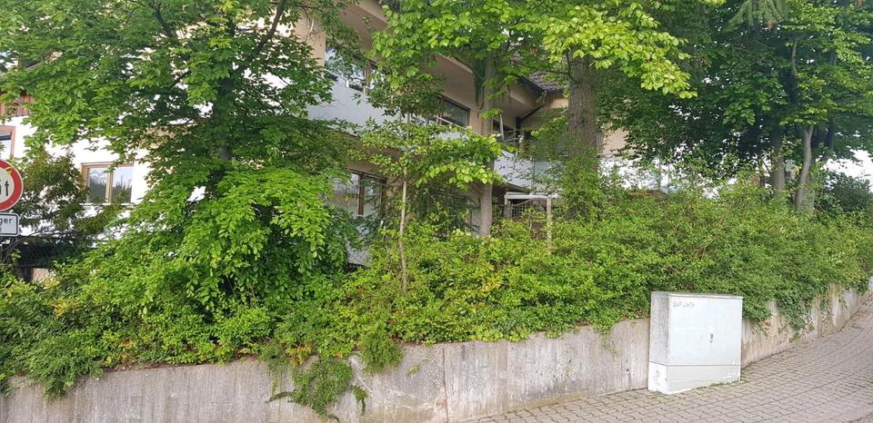 2 Zimmer Wohnung mit Garten und Stellplatz 2 zimmer