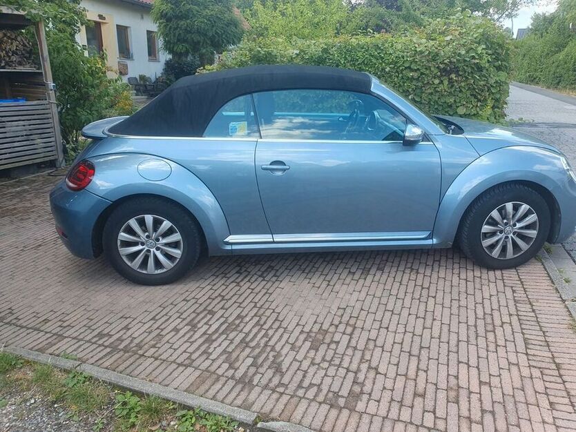 Beetle