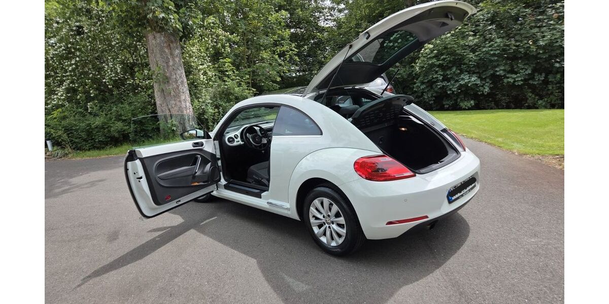 VW Beetle 124.000 km 8.499 &euro; Brandis 04821
