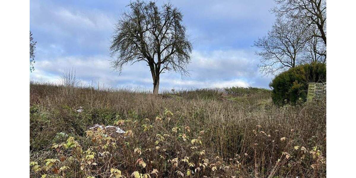 Grundstück Sinzing Bergmatting Bergmatting - 199.000&euro; | Angebot:25702663