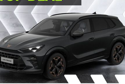 Cupra Terramar 6.000 km 41.624 &euro; Büdingen-Düdelsheim 63654