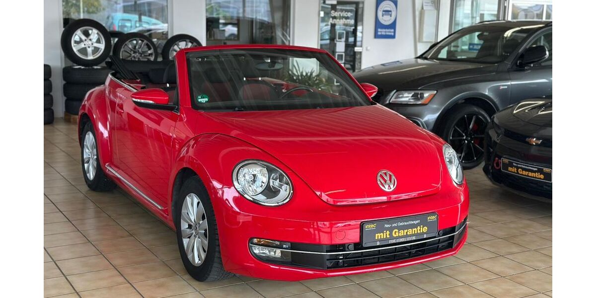 VW Beetle 110.000 km 9.999 € Edenkoben 67480
