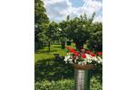Ferienimmobilie Gotha - 25&euro; | Angebot:26505426