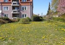 *** Balkon * Aufzug * PKW-SP * EBK möglich * nahe A9 (JenaEisenberg) ***