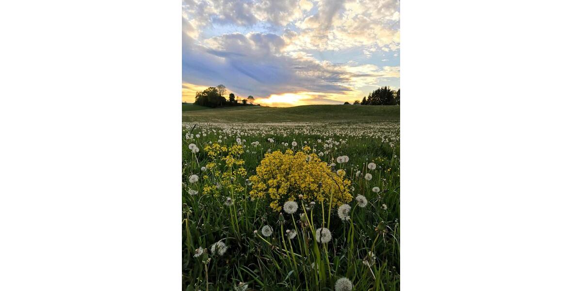 EFHaus (neuw.) 1 Stde westlich von München zimmer