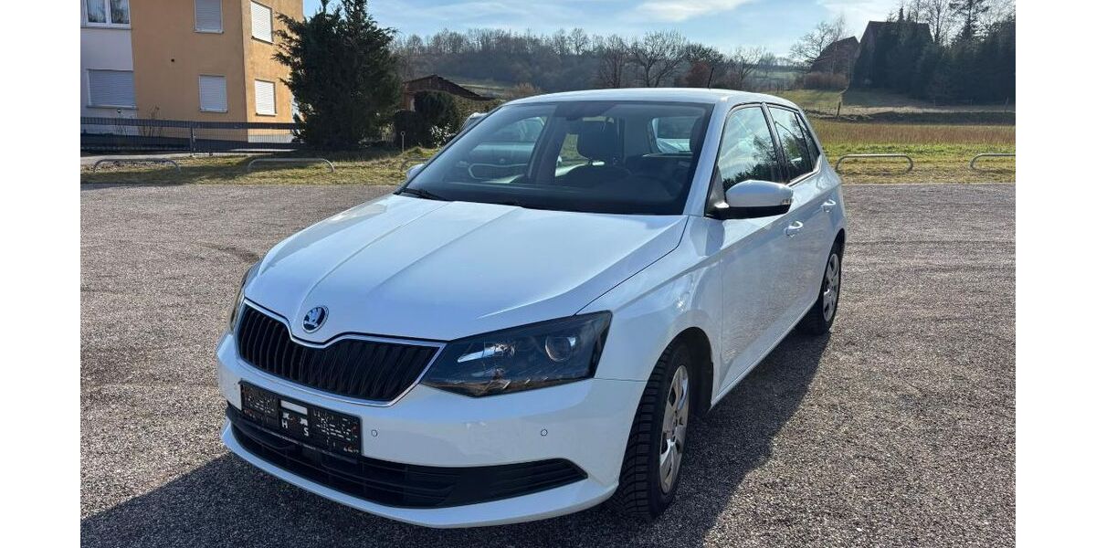 Skoda Fabia 99.750 km 7.690 &euro; Spalt 91174