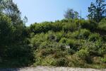 RUHE PUR! NATURPARADIES AM ORTSRAND - Grundstück Regenstauf | Angebot:26421184