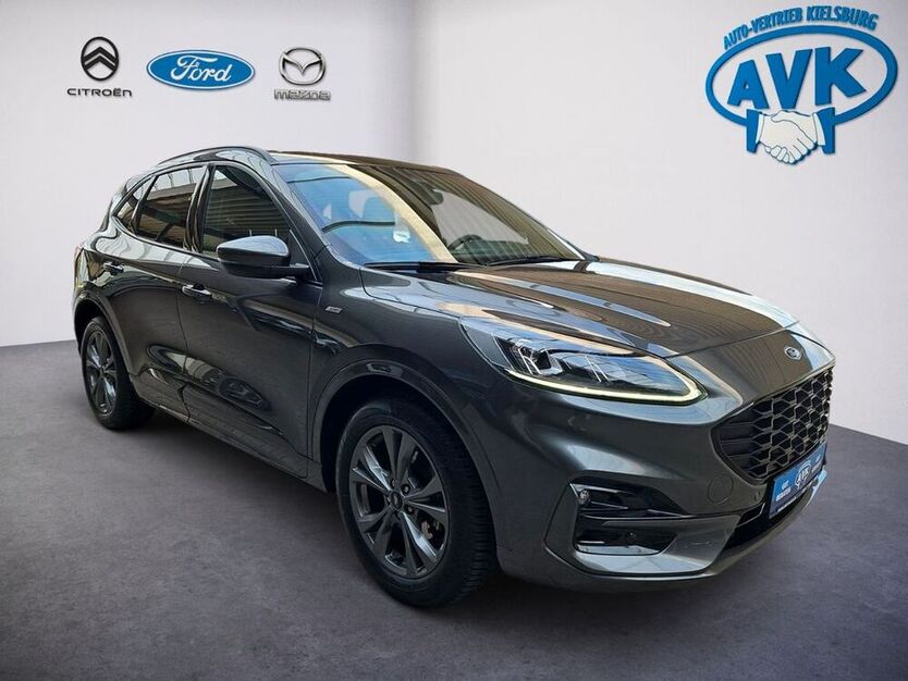 Kuga