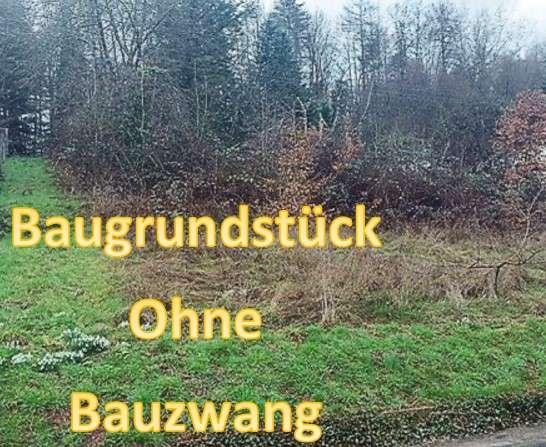 Grundstück zu verkaufen in Trienz 75.000 € 1010 m²