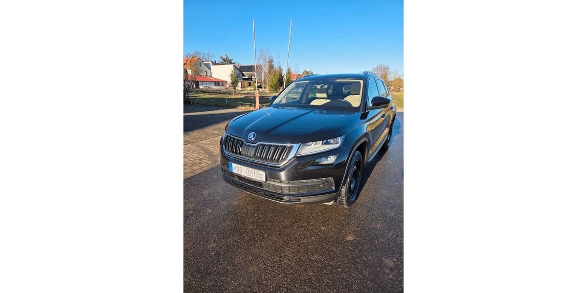 Skoda Kodiaq 79.500 km 19.100 &euro; Mühlhausen 99974