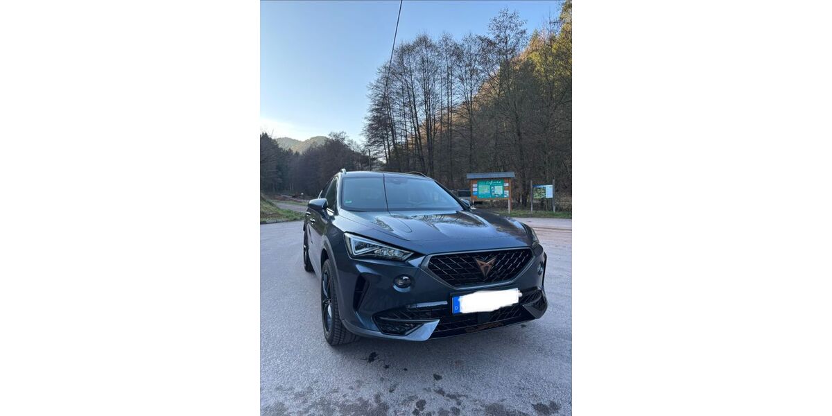 Cupra Formentor 61.300 km 22.999 &euro; Eußerthal 76857