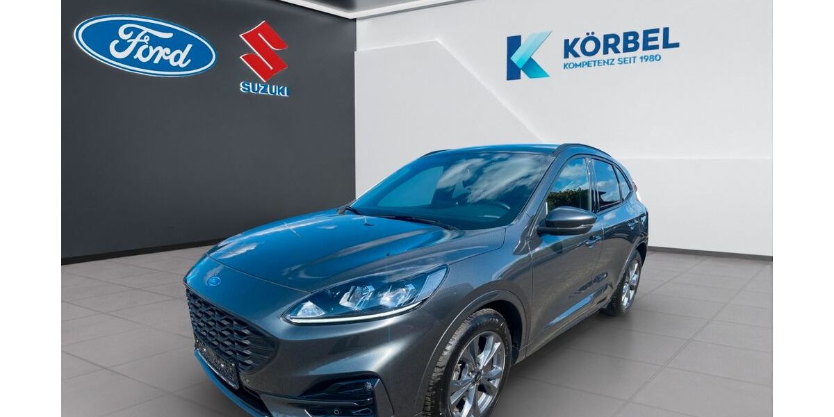 Ford Kuga 29.100 km 24.290 &euro; Nidderau-Heldenbergen 61130