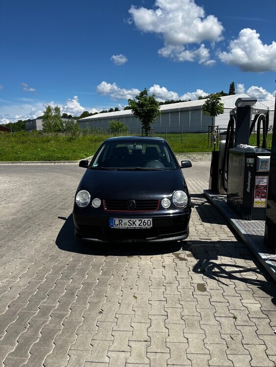 Polo