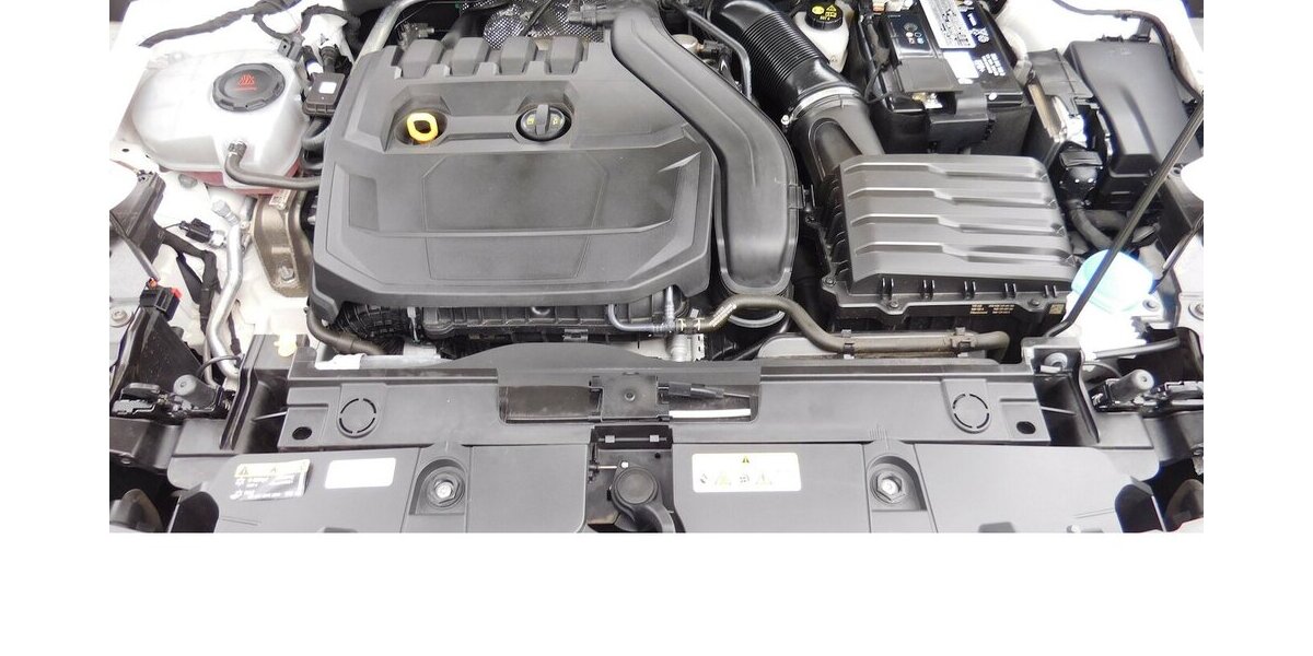 Cupra Formentor 1.5 TSI BMT Klima LED Alu 22.200 km 20.490 &euro; Vordorf 38533