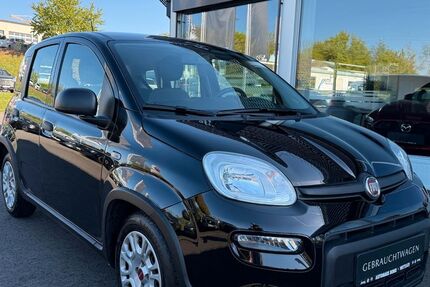 Fiat Panda 76.500 km 9.980 &euro; Wittlich 54516
