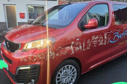 Peugeot Traveller 277.000 km 8.999 &euro; Göttingen 37081