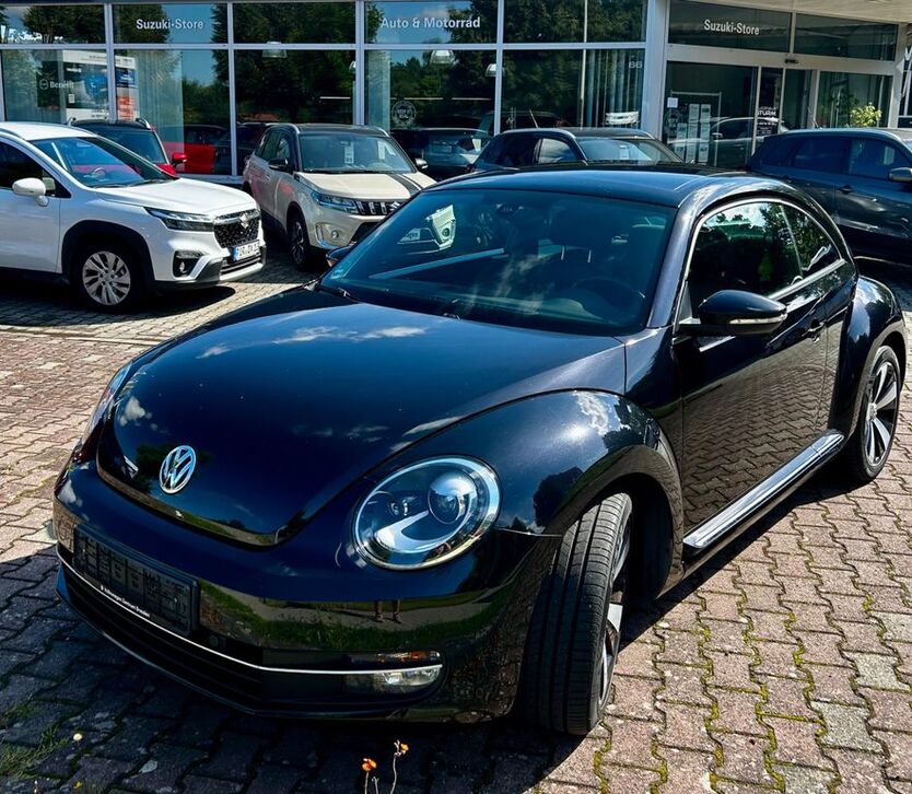Beetle