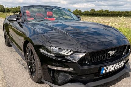 Ford Mustang 13.500 km 45.950 &euro; Wester-Ohrstedt b. Husum 25885