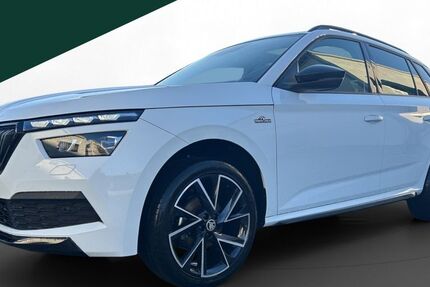 Skoda Kamiq 20.213 km 27.250 &euro; Regen 94209