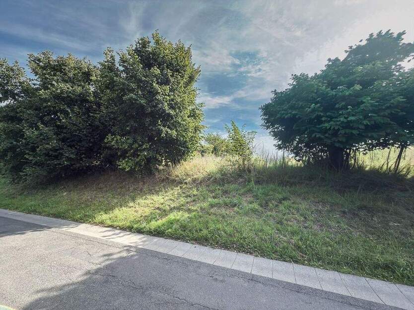 gut gelegen - gut geschnitten - Baugrundstück in Frömern zimmer