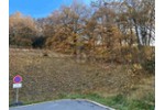BAUAREAL IN NATURNAHER LAGE - Grundstück Bad Berneck im Fichtelgebirge | Angebot:27229355