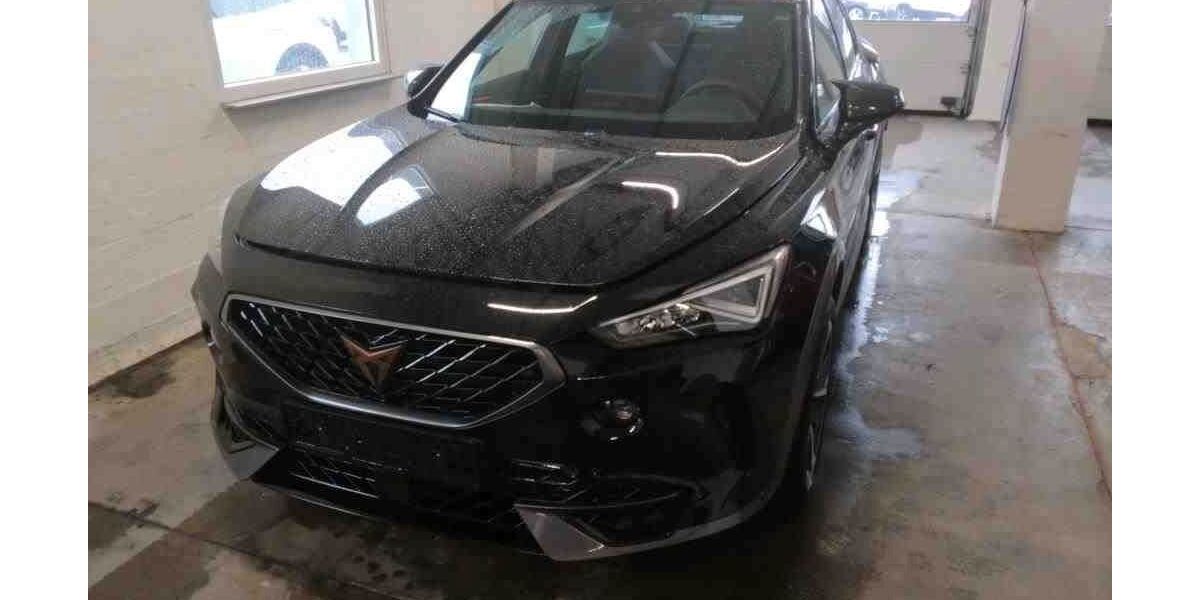 Cupra Formentor 22.190 km 29.999 &euro; Salzgitter 38259
