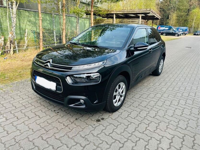C4 Cactus
