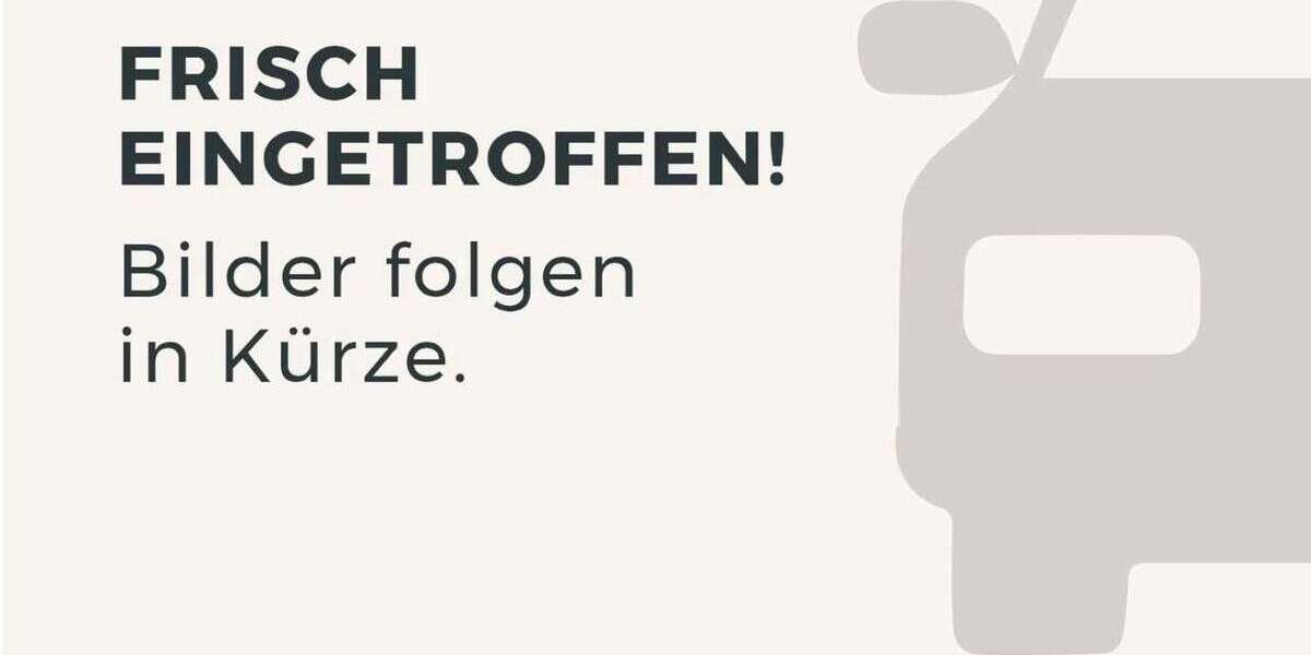 Hyundai IONIQ 97.600 km 13.695 &euro; Herrenberg 71083