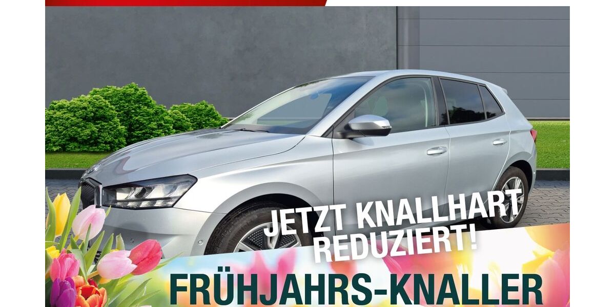 Skoda Fabia 130.308 km 12.870 &euro; Marktredwitz 95615