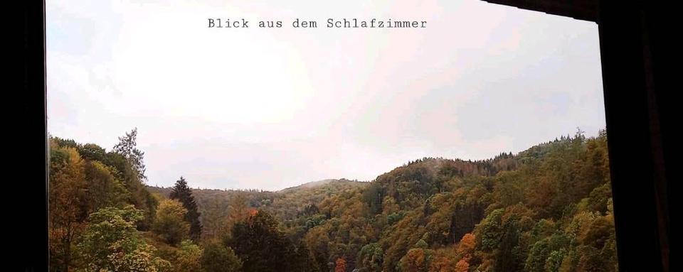 Dachgeschoßwohnung Walkenried - 3 Zimmer, 70 m&sup2;, 52.000&euro; | Angebot:26310832