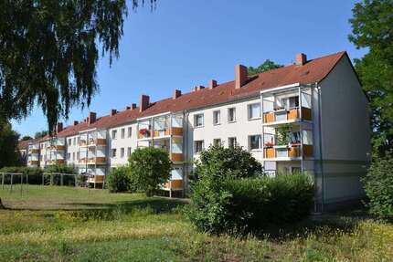 Wohnung zum Mieten in Sangerhausen 320 € 52 m² 2 zimmer