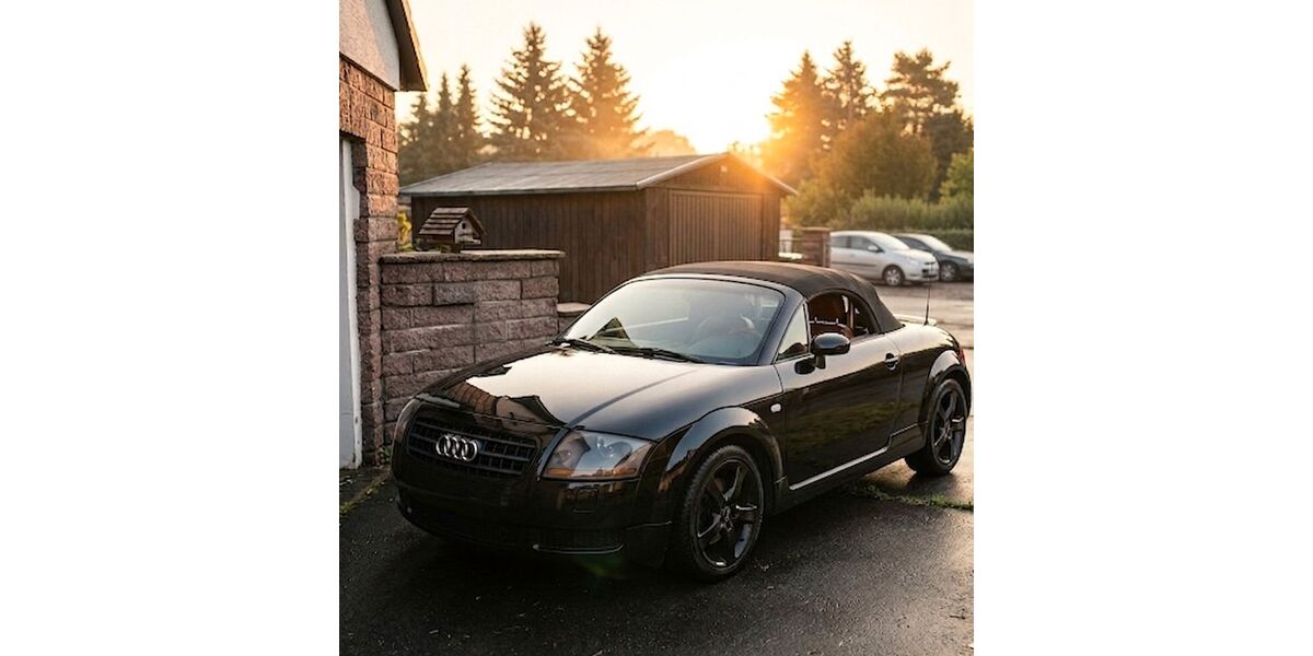 Audi TT 210.000 km 8.300 &euro; Riesa 01587