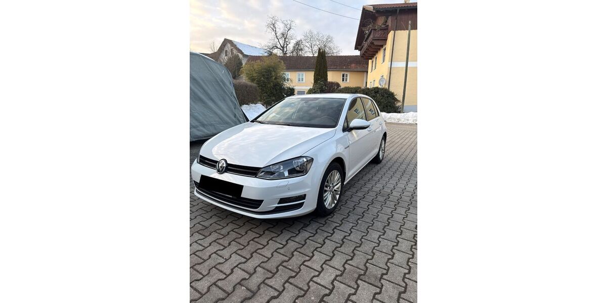 VW Golf 160.000 km 10.000 &euro; Tittling 94104