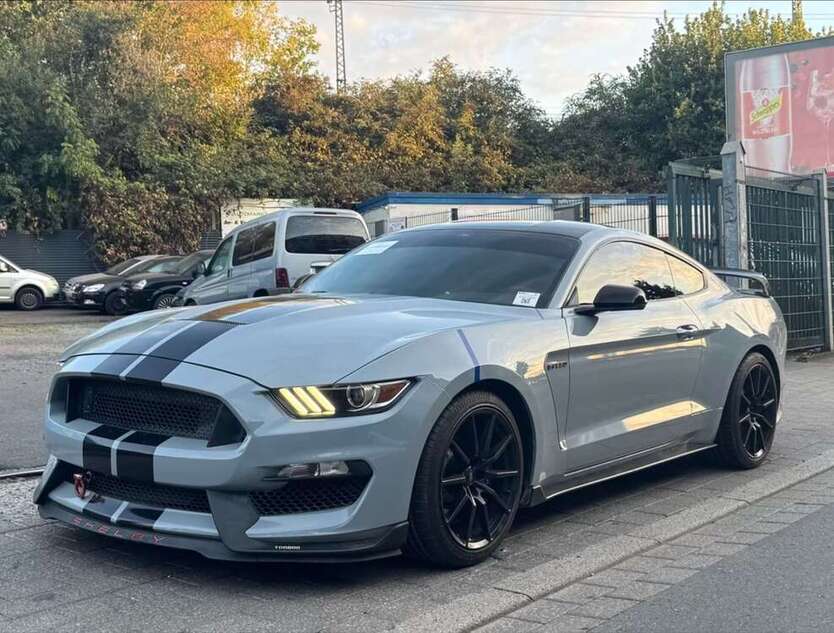 Mustang