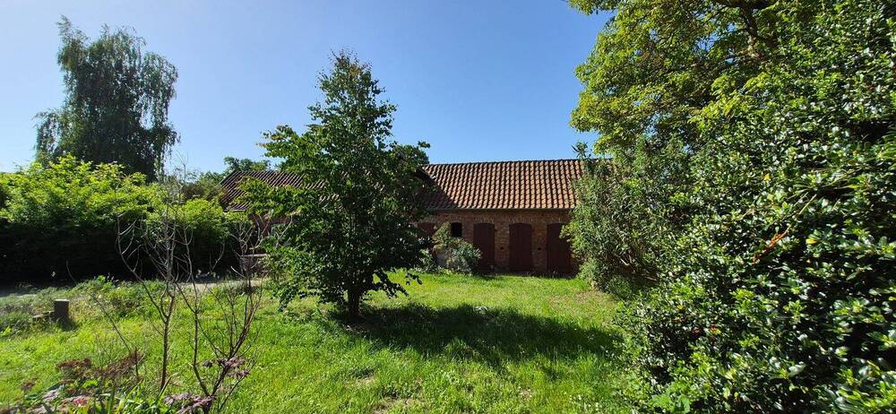 Stadtnah und ländlich zugleich - Charmantes EFH und Nebengelass mit viel Potenzial - Einfamilienhaus Gusborn Klein Gusborn | Angebot:26904928