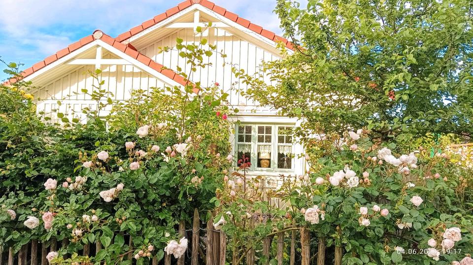 Bungalow Hambühren - 3 Zimmer, 97 m&sup2;, 499.000&euro; | Angebot:26236836