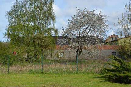 Grundstück Maasdorf Piethen - 20.000&euro; | Angebot:24176602